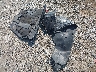 1N4BL4FW7KC****** Destrozados 2019 Nissan Altima en Estado de Massachusetts