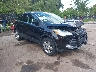 1FMCU0GX9DU****** Salvamento y Destrozados 2013 Ford Escape en Kansas City