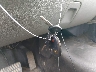 1GB4CZCL2BF****** Reparables 2011 Chevrolet Silverado 3500hd Chassis en Lafayette
