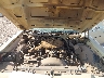 8Z64A50**** Repairable 1978 Mercury Marquis in Amarillo