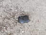KM8JU3AC8CU****** Wrecked 2012 Hyundai Tucson in Louisiana State