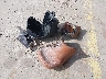 WB10418A0YZ****** Destrozados 2000 BMW R 1100 RT en Estado de Texas