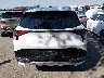 5XYK5CDF0RG****** Wrecked 2024 Kia Sportage
