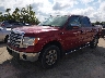 1FTFW1EF7DK****** Usados y Reparables 2013 Ford F-150 en Saint Louis
