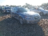 4S4BP66C097****** Salvage and Wrecked 2009 Subaru Outback in Columbus