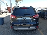 1FMCU9J92EU****** Usados 2014 Ford Escape