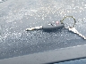 1HGCP26389A****** Salvamento 2009 Honda Accord en Estado de Florida