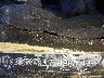 4S3GKAA69J3****** Used 2018 Subaru Impreza in Seattle