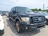1FTFW1EV6AF****** Salvage and Wrecked 2010 Ford F-150 in Cleveland