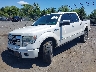 1FTFW1ETXDF****** Used and Repairable 2013 Ford F-150 in Culpeper