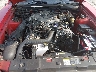 1FAFP40624F****** Reparables 2004 Ford Mustang en Tifton