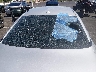 1N4BL4BVXSN****** Salvage and Repairable 2025 Nissan Altima in Nevada State