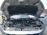 SHHFK7H92KU****** Reparables 2019 Honda Civic en West Palm Beach