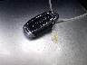 5NPLS4AG3NH****** Salvamento 2022 Hyundai Elantra en Estado de New Hampshire