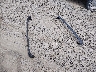 2HKRM4H78DH****** Wrecked 2013 Honda CR-V in Oregon State