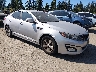 5XXGM4A77FG****** Salvage and Wrecked 2015 Kia Optima in Seattle