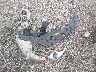 5TDZK3EH0CS****** Destrozados 2012 Toyota Highlander en Estado de Carolina del Sur
