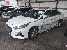 5NPE34AF8JH****** Usados y Reparables 2018 Hyundai Sonata en Jacksonville