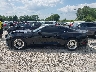 1FA6P8TH2F5****** Reparables 2015 Ford Mustang en Estado de Ohio