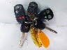 5J6YH28776L****** Salvage 2006 Honda Element in New Jersey State