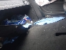 1FA6P8CF4S5****** Wrecked 2025 Ford Mustang in Appleton
