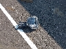 5NMS53AA7KH****** Destrozados 2019 Hyundai Santa Fe en Estado de Illinois