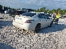 1N4AA5AP6DC****** Salvage and Wrecked 2013 Nissan Maxima in Florida State