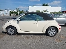 3VWBM31Y15M****** Salvamento 2005 Volkswagen New Beetle