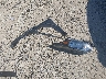 3CZRU6H51GM****** Wrecked 2016 Honda HR-V in Ohio State