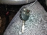 2FMDK4JC1DB****** Salvamento 2013 Ford Edge en Estado de Michigan