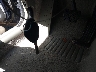 WBANA73524B****** Salvamento 2004 BMW 530i en Estado de Virginia