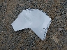 5YJYGDEE7MF****** Destrozados 2021 Tesla Model Y en Estado de Virginia