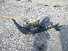 2FMGK5D85JB****** Wrecked 2018 Ford Flex in Florida State