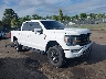 1FTEW1E85NF****** Salvamento y Destrozados 2022 Ford F-150 en Culpeper