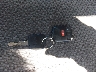 1FTRX18W1XN****** Salvamento 1999 Ford F-150 en Estado de Florida