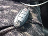 1N4AL21E49N****** Salvamento 2009 Nissan Altima en Estado de Massachusetts