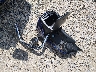 56KLDHRR1P3****** Wrecked 2023 Indian Indian Pursuit Limited in Arkansas State