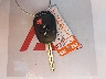 JTMZFREV9FJ****** Salvage 2015 Toyota RAV4 in Texas State