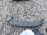 3C4NJDBB5MT****** Wrecked 2021 Jeep Compass in South Carolina State
