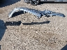 58ADA1C14SU****** Wrecked 2025 Lexus ES 300h in Maryland State