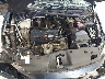 19XFC2F76HE****** Repairable 2017 Honda Civic in Tampa North