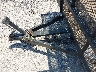 13ZLS1422C1****** Reparables 2006 Parker Trailer Sales PARK en Austin