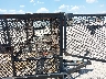 13ZLS1422C1****** Usados y Reparables 2006 Parker Trailer Sales PARK en Estado de Texas