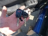 JHMGE884X9S****** Salvage 2009 Honda Fit in Maryland State