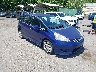JHMGE884X9S****** Salvage and Wrecked 2009 Honda Fit in Dundalk