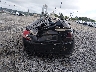 JTKJF5C72B3****** Destrozados 2011 Scion TC