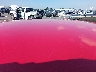 2C3CDXBG9CH****** Salvamento y Reparables 2012 Dodge Charger en Estado de Illinois