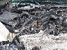 3TMDZ5BN1KM****** Reparables 2019 Toyota Tacoma en Jacksonville