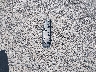 KM8J3CA26HU****** Wrecked 2017 Hyundai Tucson in Wisconsin State