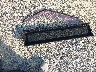 KNDJP3A52H7****** Wrecked 2017 Kia Soul in Florida State